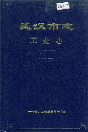 武汉市志 工业志 下卷