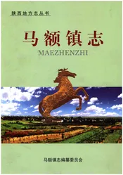 马额镇志