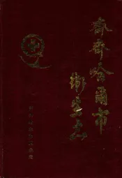 齐齐哈尔市卫生志