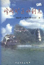 峰峰矿区水利志