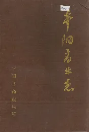 平阳商业志