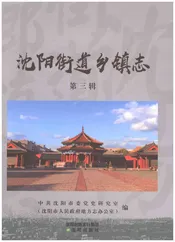 沈阳街道乡镇志第三辑