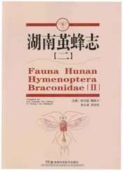 湖南茧蜂志