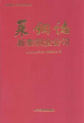 莱钢志新泰铜业公司(1986-2006)