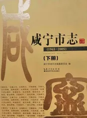 咸宁市志（1965-2005）下册