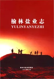 榆林盐业志