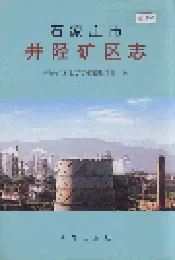 石家庄市井陉矿区志