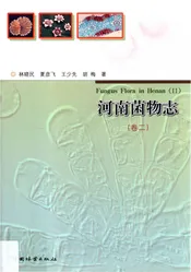河南菌物志（卷二）