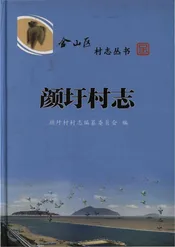 颜圩村志