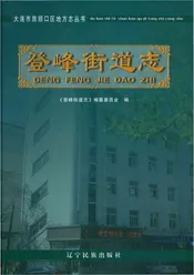 登峰街道志