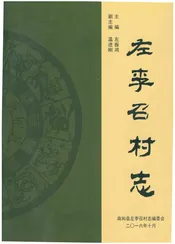 左李召村志（南和）