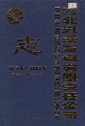 河北兴泰发电有限责任公司志