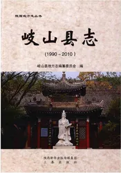 岐山县志（1990-2010）