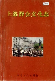 上海群众文化志