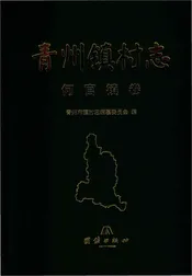 青州镇何官镇志村志