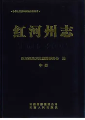 红河州志（1978-2005）中册
