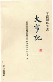 东西湖区专志大事记