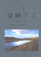 鸡西市梨树区志1986-2005