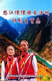 怒江傈僳族自治州计划生育志