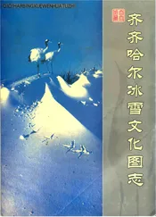 齐齐哈尔冰雪文化图志