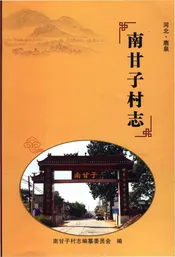 南甘子村志