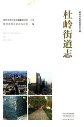杜岭街道志