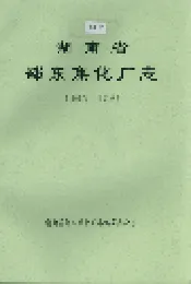 湖南省邵东焦化厂志