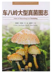 车八岭大型真菌图志