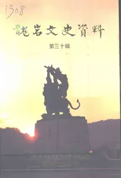龙岩文史资料  第30辑