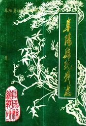 阜阳县统战志