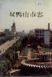 双鸭山市志