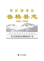 普格县志