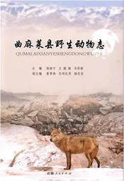 曲麻莱县野生动物志