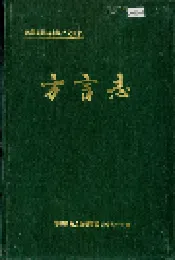 岳阳县 方言志