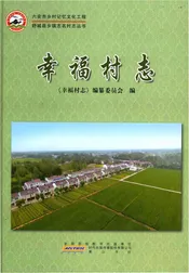 幸福村志（舒城）