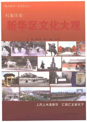 石家庄市新华区文化大观（上）