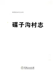 碟子沟村志
