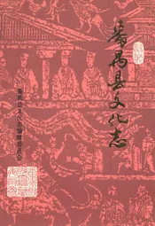 番禺县文化志