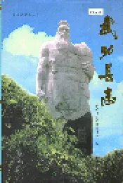 武功县志