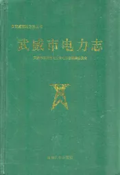 威武市电力志