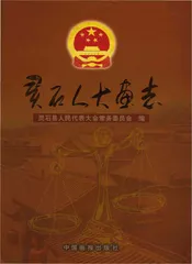 灵石人大画志