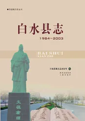 白水县志（1984-2003）