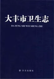 大丰市卫生志