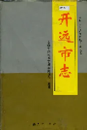 开远市志