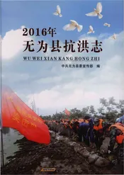 无为县抗洪志2016