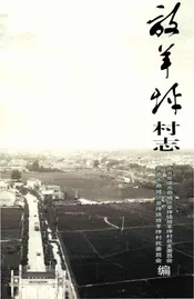 放羊坪村志
