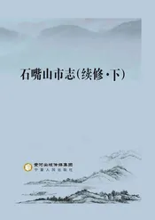 石嘴山市志（续修）下册