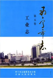 西宁市志 第五卷 工业志