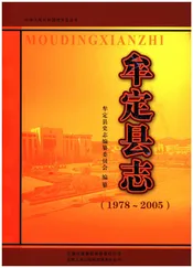 牟定县志（1978-2005）