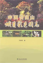 中国上白山蛾类彩色图志